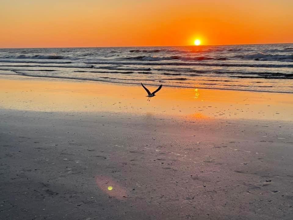 Beach Glass - Island Getaway Corpus Christi Bagian luar foto