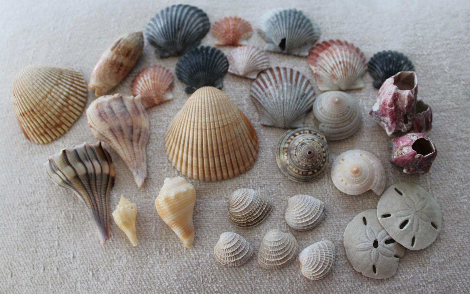 Beach Glass - Island Getaway Corpus Christi Bagian luar foto